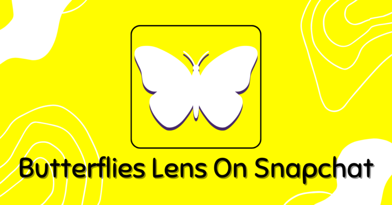How to remove the butterfly from the Snapchat filter